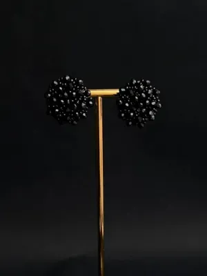 Puces vermiculées, noires